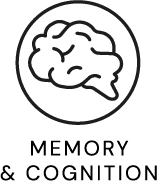 Memory and Cognition