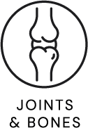 Joints and Bones