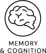 Memory & Cognition