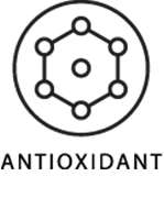 Antioxidant