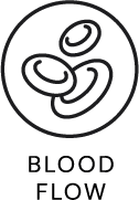 Blood flow