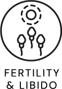 Fertility & Libido