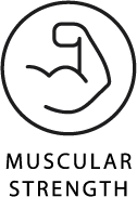 Muscular strength