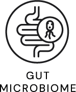 Gut microbiome
